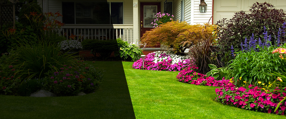 Valencia Landscapers