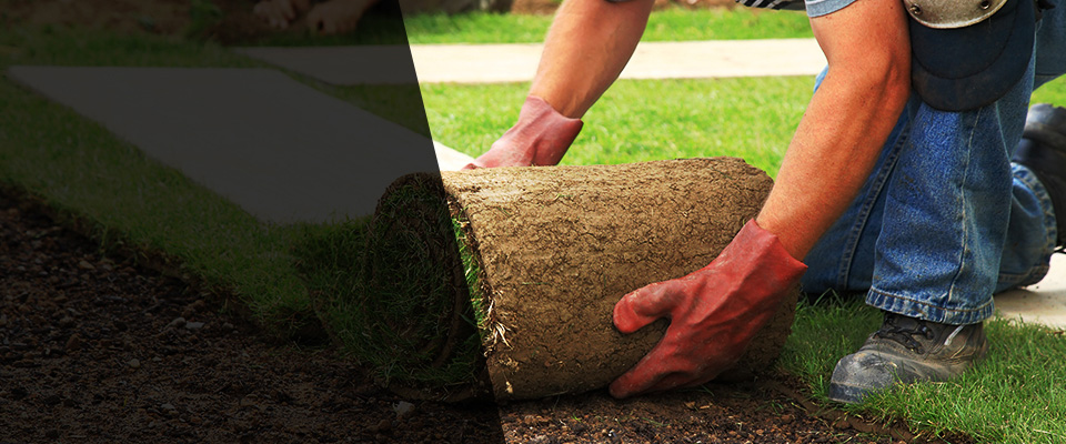 Valencia Landscapers
